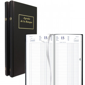 DESTOCKAGE-Agenda de la Banque BREPOLS Jupiter Long 15,4x33cm - Euros et centimes - 1 jour sur 2 pages