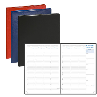 DESTOCKAGE-Agenda EXACOMPTA SAD 29 Nil - 21x29,7cm - 1 Semaine sur 2 pages (COLORIS ALEATOIRES)