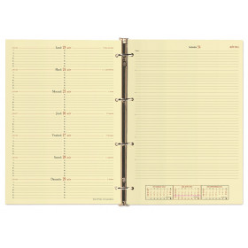 Recharge agenda QUOVADIS Timer 29 Notes 21x29.7cm janvier - décembre + supplément septembre à décembre  16 mois