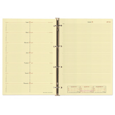 Recharge agenda QUOVADIS Timer 29 Notes 21x29.7cm janvier - décembre + supplément septembre à décembre  16 mois