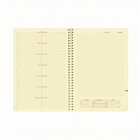 Recharge agenda QUOVADIS Note 29® S 21x29,7 cm - 1 semaine sur 1 page + NOTES - spirale