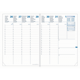 Recharge pour agenda QUOVADIS PLANNING 21 SD 15x21cm - 16 mois - 1 semaine sur 2 pages