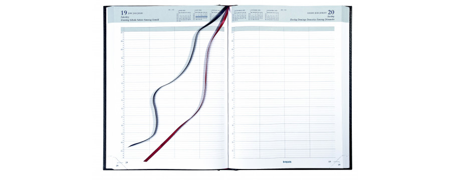 Agendas 2026 journaliers A4 21x29,7cm BREPOLS BREMAX 1