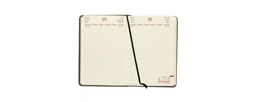 Agenda 2026 QUOVADIS DAILY 21 PRESTIGE