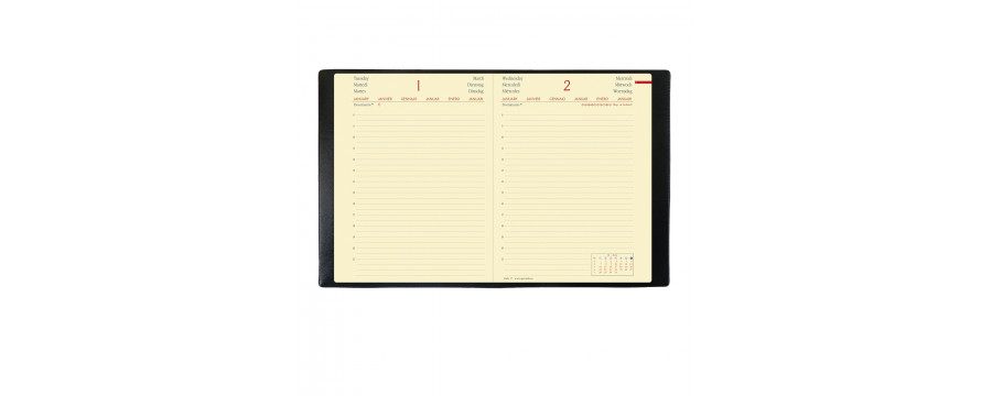 Agenda 2026 QUOVADIS DAILY 17 Prestige