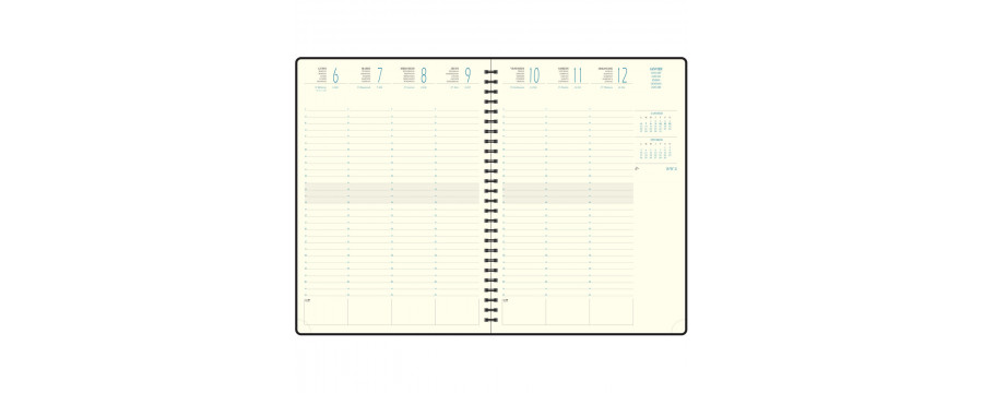 Agenda 2026 semainiers de bureau EXACOMPTA Eurotime 29W